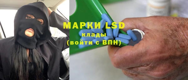 индика Алзамай