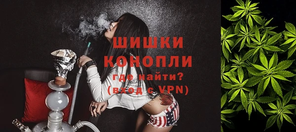 индика Алзамай