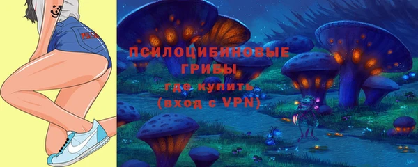 амфетамин Алексеевка