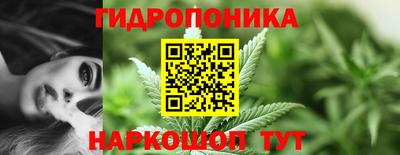 гидропоника Старая Купавна