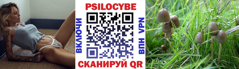 Псилоцибиновые грибы Psilocybine cubensis  Слободской 