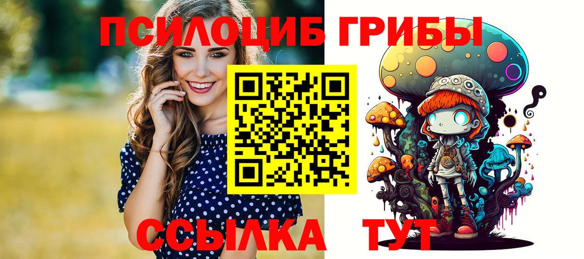 Галлюциногенные грибы Psilocybe Слободской