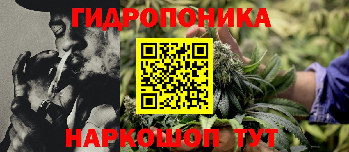 Бошки марихуана LSD WEED  Бошки марихуана конопля  Слободской  Конопля Bruce Banner  Конопля тримм  Вход с VPN 